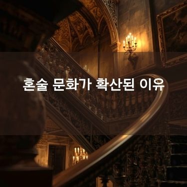 혼술 문화 이야기