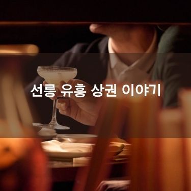 선릉 유흥 상권 이야기