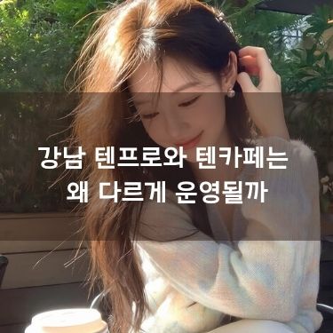 강남 텐프로와 텐카페는 왜 다르게 운영될까