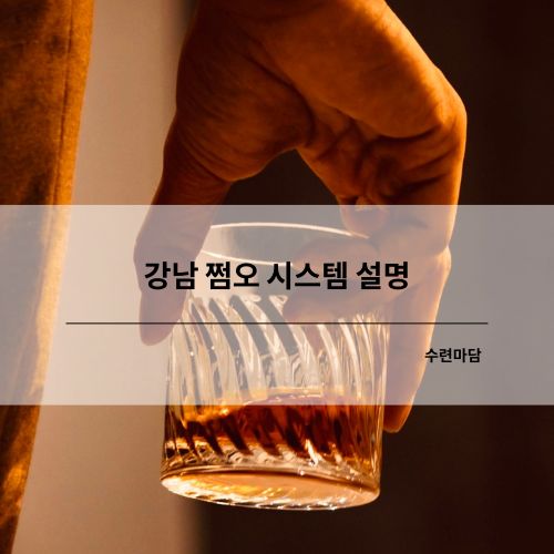 강남 쩜오 시스템 설명 수련마담